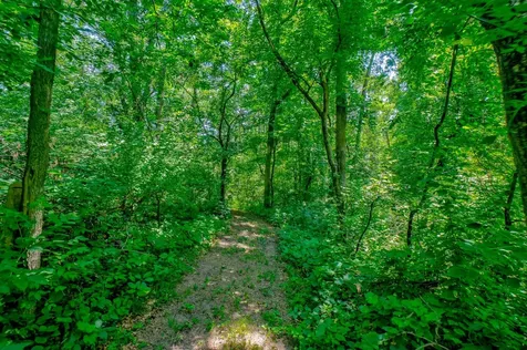 16160 199th Street N Scandia MN 55073