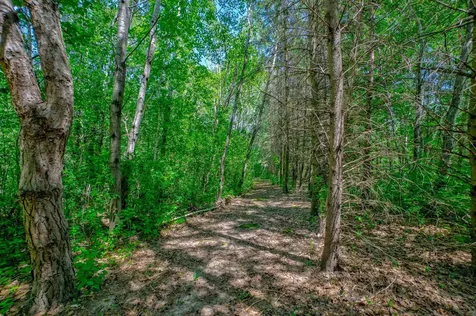 16160 199th Street N Scandia MN 55073
