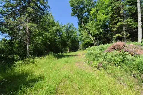 14622 S Swedish Highway Danbury WI 54830