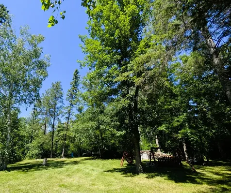 42683 County 3 Solway MN 56678