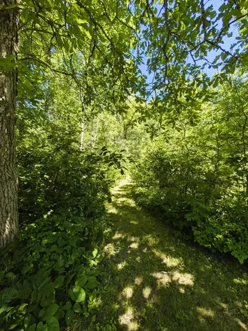 42683 County 3 Solway MN 56678