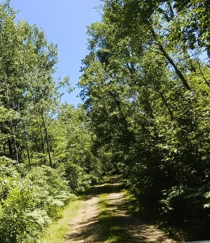 42683 County 3 Solway MN 56678
