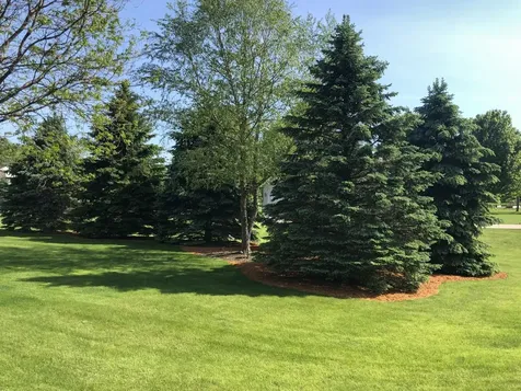 7005 Halifax Lane NW Rochester MN 55901