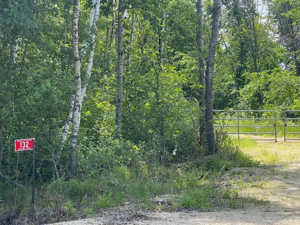 132 90th Avenue Clayton WI 54004