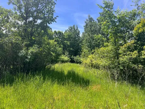 132 90th Avenue Clayton WI 54004