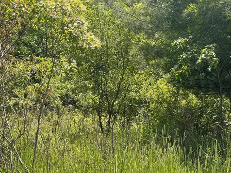 132 90th Avenue Clayton WI 54004