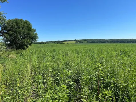 000 330th Ashby MN 56309