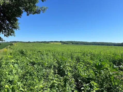 000 330th Ashby MN 56309