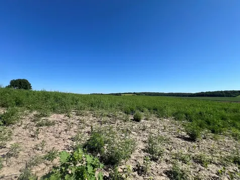 000 330th Ashby MN 56309