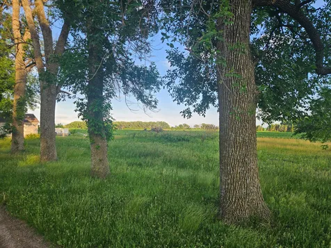 14899 SW 72nd Avenue Ellendale MN 56026