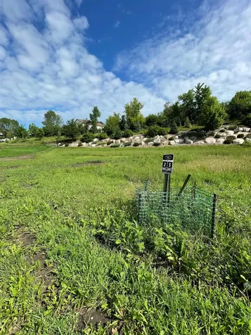 108 Forest Court Waconia MN 55387