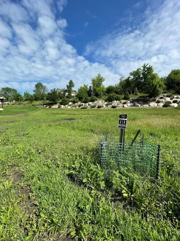 108 Forest Court Waconia MN 55387