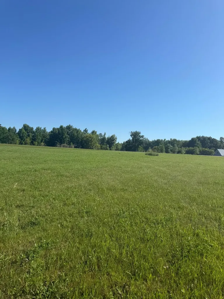 Tbd Hummingbird Lane SW Alexandria MN 56308