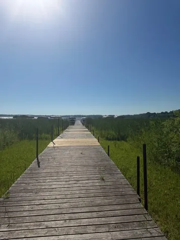 Tbd Hummingbird Lane SW Alexandria MN 56308