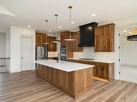 16782 Ward Lake Drive NW Andover MN 55304