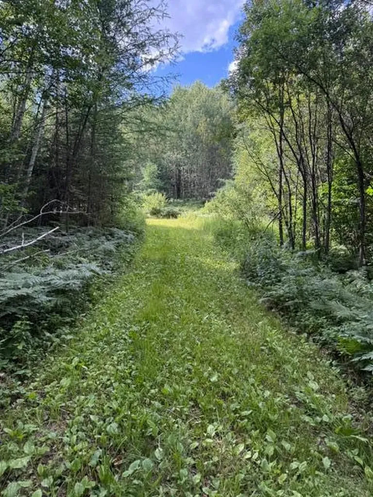 Tbd N Moose Lake Road Pennington MN 56663
