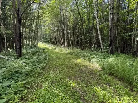 Tbd N Moose Lake Road Pennington MN 56663