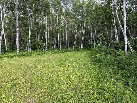 Tbd N Moose Lake Road Pennington MN 56663