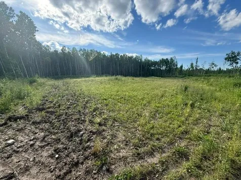 Tbd N Moose Lake Road Pennington MN 56663