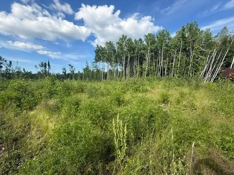 Tbd N Moose Lake Road Pennington MN 56663