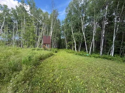 Tbd N Moose Lake Road Pennington MN 56663