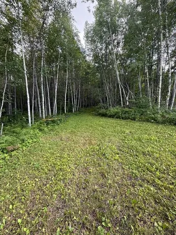 Tbd N Moose Lake Road Pennington MN 56663
