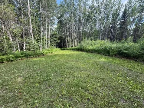 Tbd N Moose Lake Road Pennington MN 56663