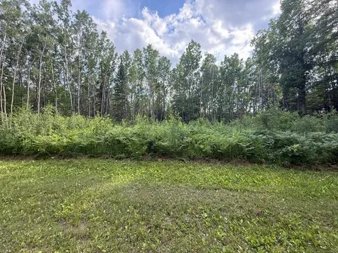 Tbd N Moose Lake Road Pennington MN 56663