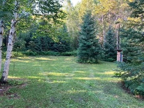 Tbd N Moose Lake Road Pennington MN 56663