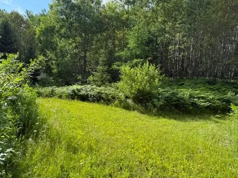 Tbd N Moose Lake Road Pennington MN 56663