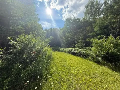 Tbd N Moose Lake Road Pennington MN 56663