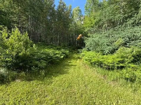 Tbd N Moose Lake Road Pennington MN 56663