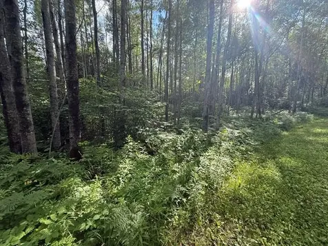 Tbd N Moose Lake Road Pennington MN 56663