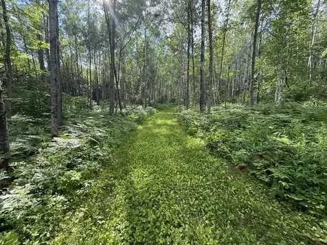 Tbd N Moose Lake Road Pennington MN 56663