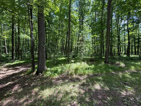 42680 Leigh Drive Bruno MN 55712