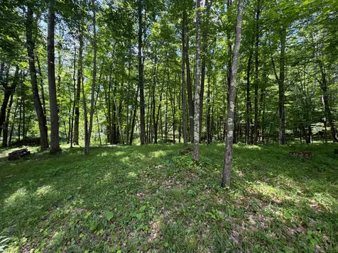 42680 Leigh Drive Bruno MN 55712