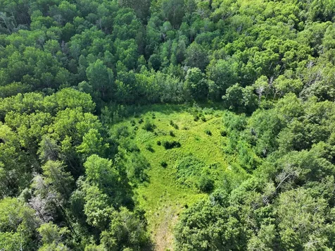 Tbd Us 71 - 16.7 Ac Park Rapids MN 56470