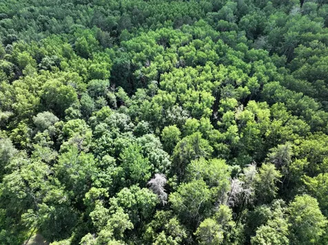 Tbd Us 71 - 16.7 Ac Park Rapids MN 56470