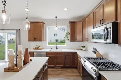 13995 Abbeyfield Avenue Rosemount MN 55068