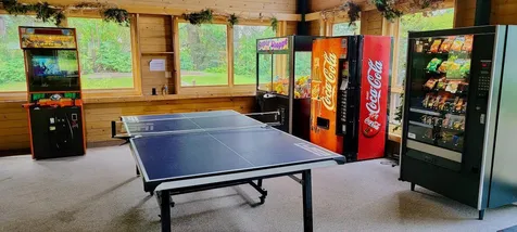 8066 #165 Lost Lake Road Lake Shore MN 56468