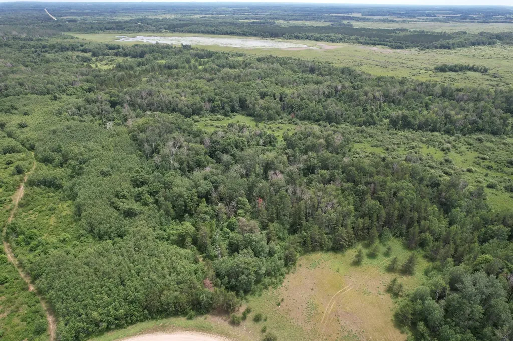 Tbdx 350th Street Menahga MN 56464