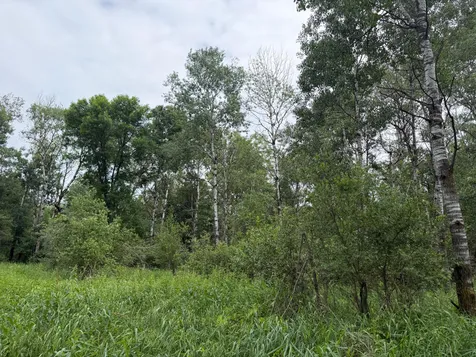 Tbdx 350th Street Menahga MN 56464