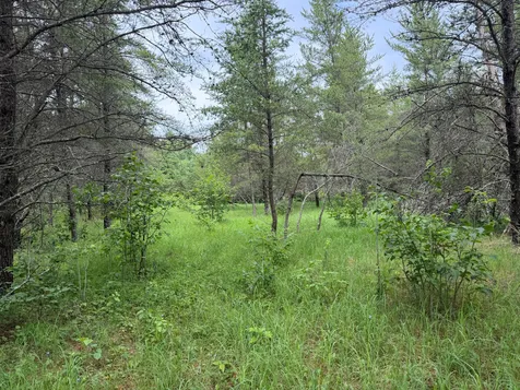 Tbdx 350th Street Menahga MN 56464