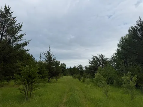 Tbdx 350th Street Menahga MN 56464