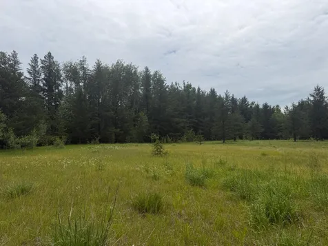Tbdx 350th Street Menahga MN 56464