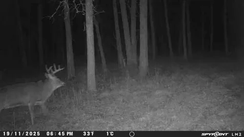 Tbd Old Grade Pine River MN 56474