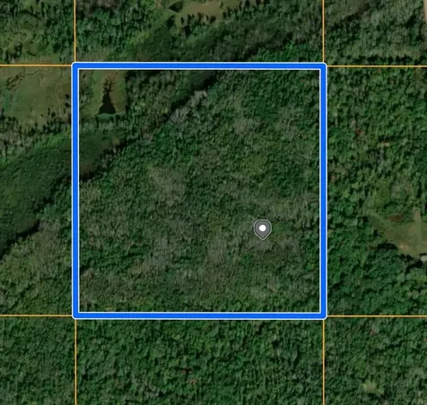 Tbd Old Grade Pine River MN 56474