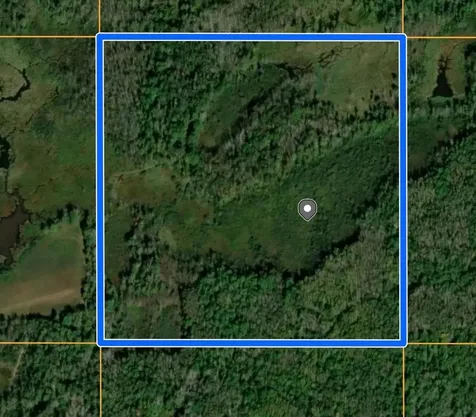 Tbd Old Grade Pine River MN 56474