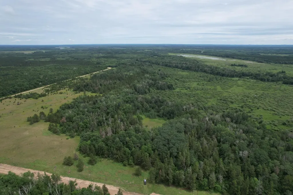 Tbd 350th Street Menahga MN 56464