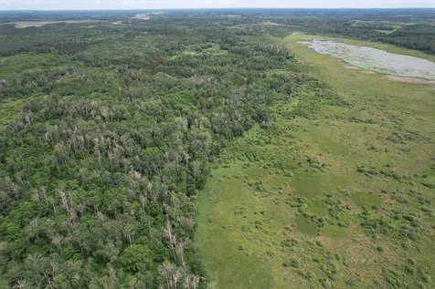 Tbd 350th Street Menahga MN 56464